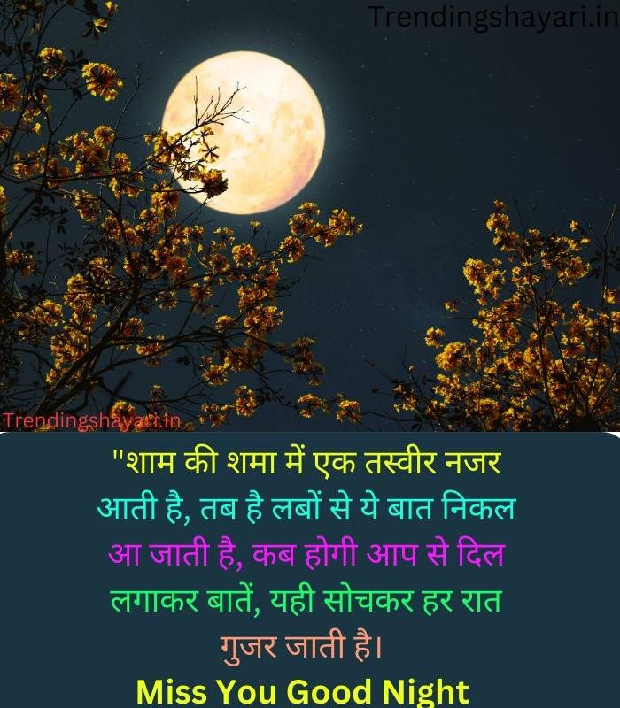 Romantic Good Night Shayari