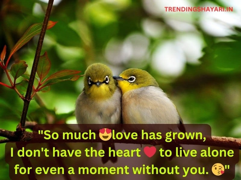 True Love Short Love Shayari in English