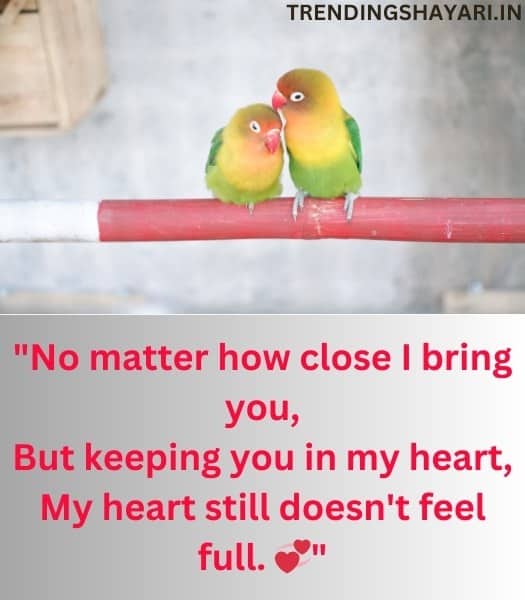 love shayari in english