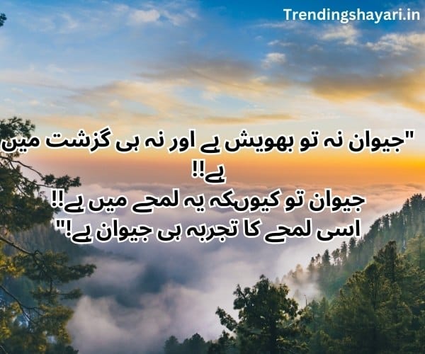 Shayari poetry urdu