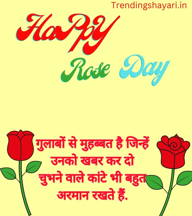 Rose Day images