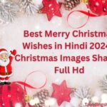 Merry Christmas Wishes in hindi