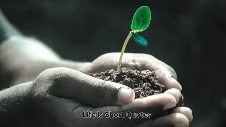 Life is Short Quotes